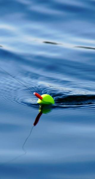 Rotorua Fishing Charters
