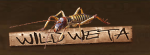 WILD WETA
