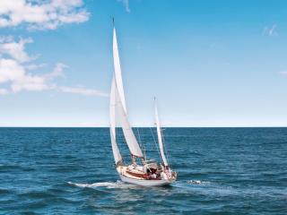 Boats and Yacht Services Rotorua