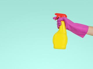 Sanitizing Rotorua