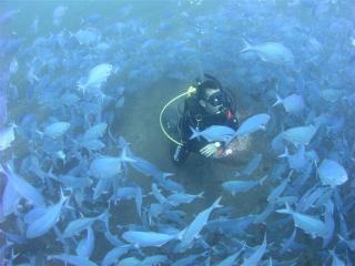 Diving in Rotorua, New zealand