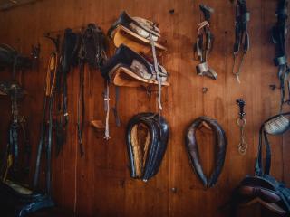 Equestrian Supplies Rotorua