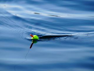 Rotorua Fishing Charters