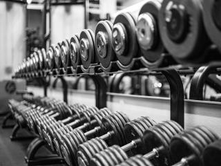 Gym Rotorua