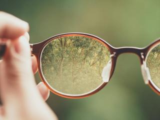 Optometrist Rotorua