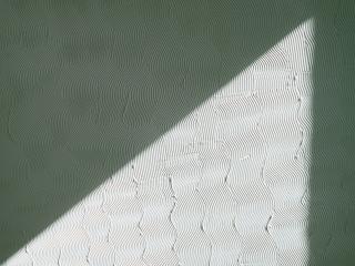 Plasterers Rotorua