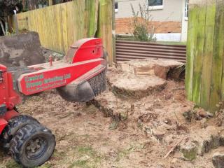 Stump Removal