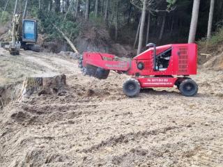 Stump Removal