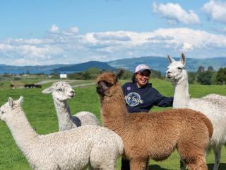 FARM ANIMALS 