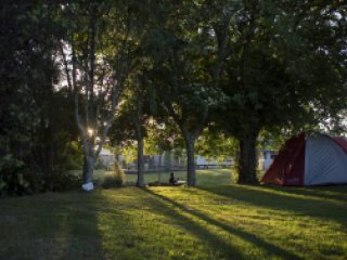 CAMP SITES