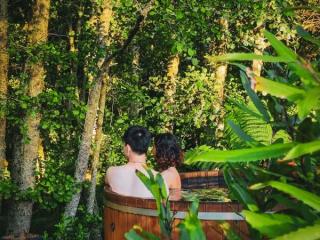 CEDAR HOT TUBS 