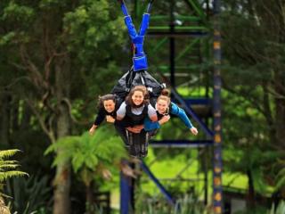 FREEFALL EXTREME