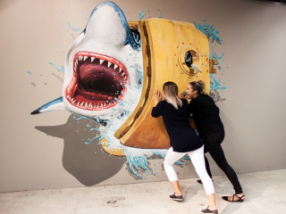 3D TRICK ART