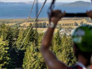 ZOOM ZIPLINE