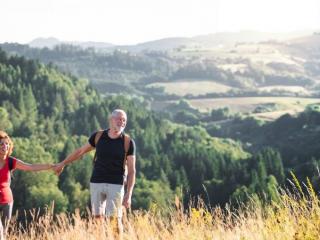 Financial & Retirement Planning