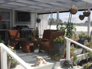 STEVE'S PROPERTY MAINTENANCE 