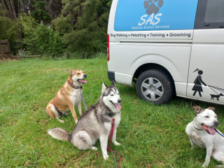 SAS - SASKIAS ANIMAL SERVICES 