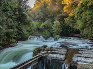 TUTEA FALLS 
