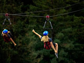 SKYSWING