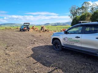 Central Stump Grinding Rotorua