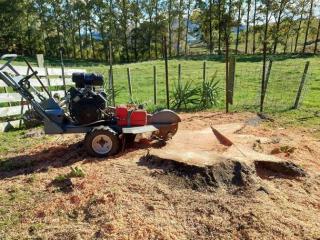 Central Stump Grinding Rotorua
