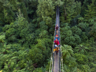 CANOPY TOURS 