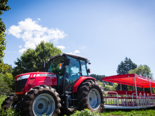 THE FARM TOUR