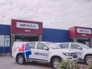 VET PLUS