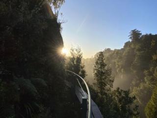 ROTORUA CANOPY TOURS 