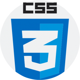 CSS