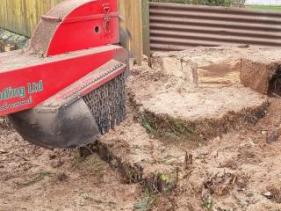 Stump Removal