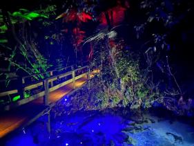 CULTURAL BUSH WALK