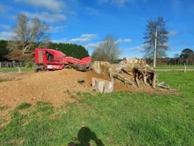 Central Stump Grinding Rotorua