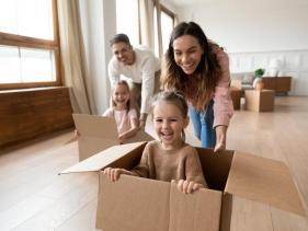 Personal Insurances & ACC
