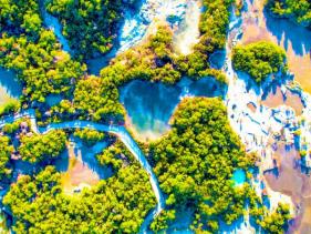 NATURAL GEOTHERMAL LANDSCAPE 