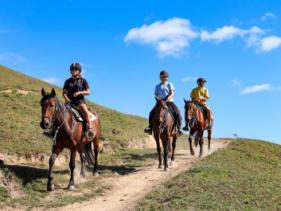 HORSE TREKS