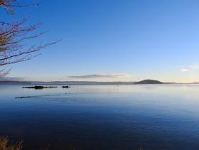 Rotorua Lakes Council