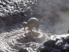 BUBBLING MUD