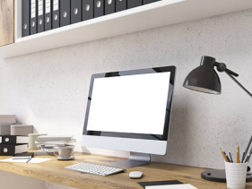 THE OFFICE PROFESSIONALS  THE OFFICE PROFESSIONALS