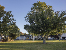 HOLDENS BAY HOLIDAY PARK 