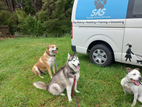 SAS - SASKIAS ANIMAL SERVICES 