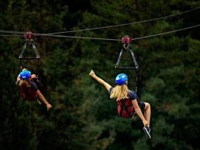 SKYSWING