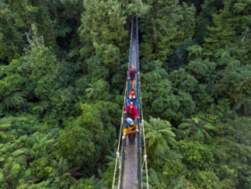 CANOPY TOURS 