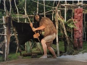 MAORI PERFORMANCE