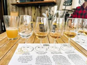 Wine taste testing