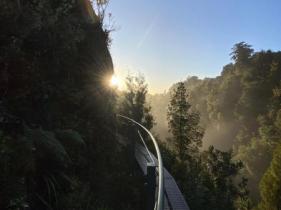ROTORUA CANOPY TOURS 